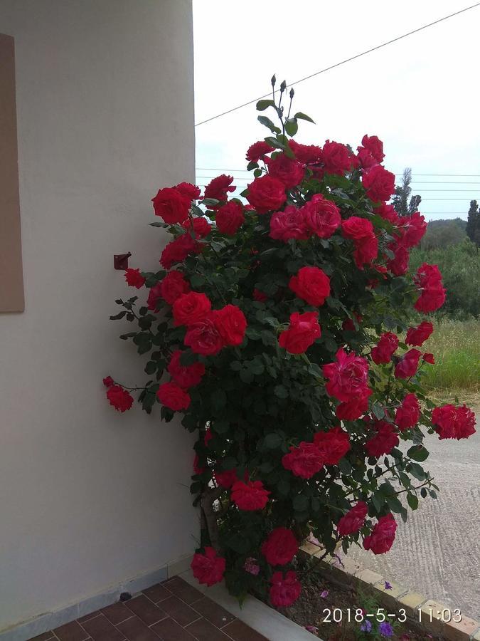 Romeo & Juliet Aparthotel Perivolion Exterior photo